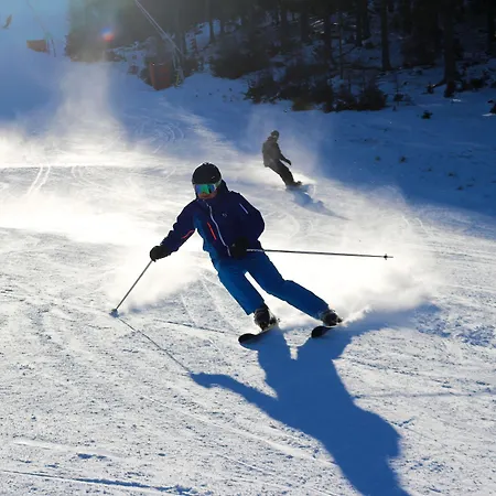 酒店 Naturhotel Ortners Eschenhof 巴德小基希海姆