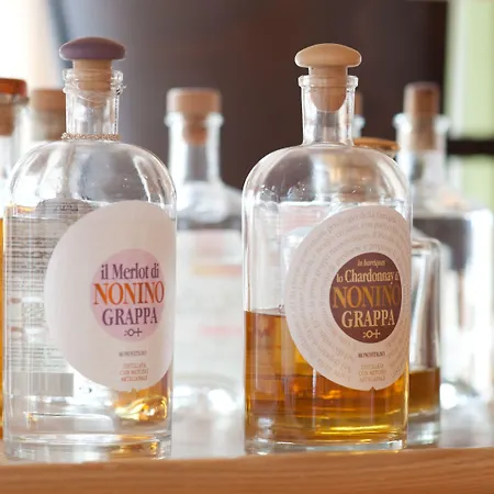 Naturhotel Ortners Eschenhof מלון